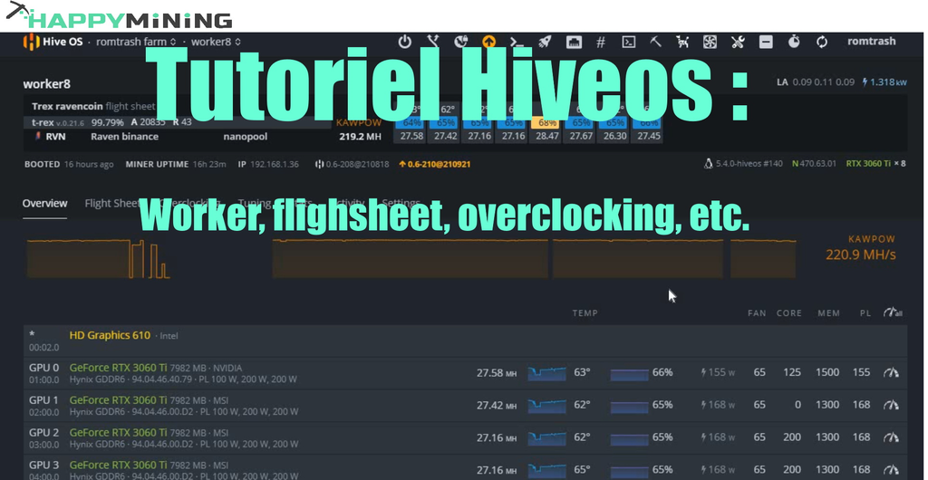 Tutoriel Hiveos : Config worker, flighsheet, Overclocking, etc.