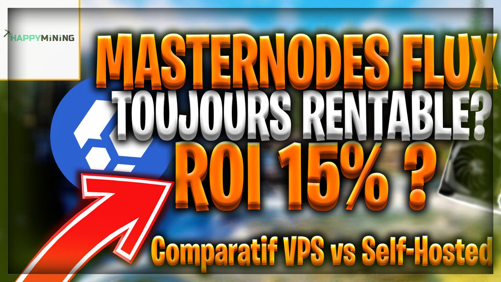 Masternodes FLUX : Toujours rentable ? ROI 15% ? Comparatif VPS vs Self-Hosted